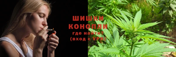 PSILOCYBIN Вяземский
