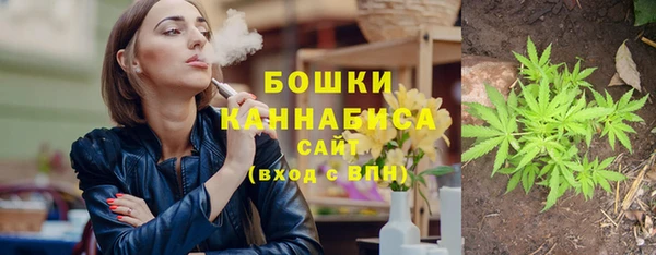 твердый Горняк
