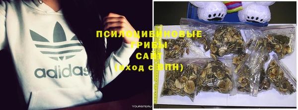 твердый Горняк